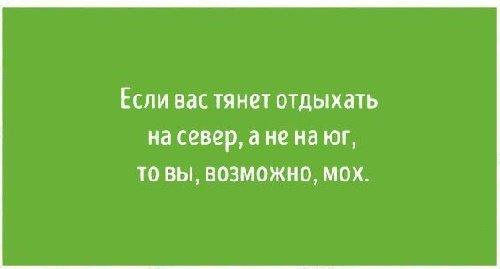 Подробнее о статье Самые смешные цитаты