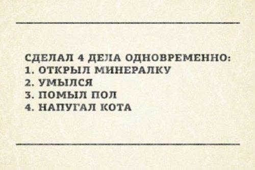 Подробнее о статье Самые смешные шутки читать