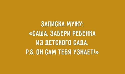 Подробнее о статье Смешные до слез цитаты