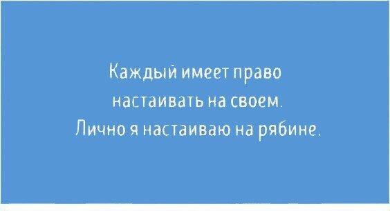 Подробнее о статье Смешные фразы и цитаты