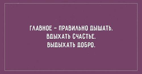 Подробнее о статье Смешные фразы и короткие шутки