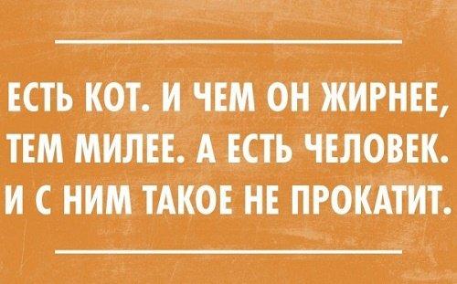 Подробнее о статье Смешные прикольные выражения