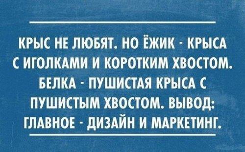 Подробнее о статье Смешные выражения со смыслом