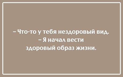 Подробнее о статье Смешные высказывания и цитаты