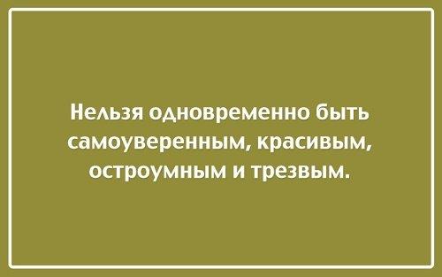 Подробнее о статье Смешные высказывания и короткие шутки