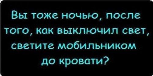 Подробнее о статье Смешные жизненные цитаты