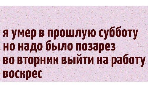 Подробнее о статье Стишки — порошки