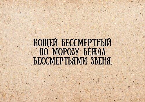 Подробнее о статье Супер прикольные афоризмы