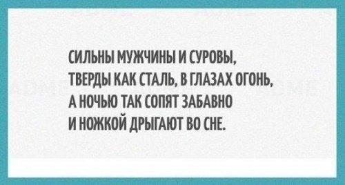 Подробнее о статье Супер прикольные цитаты