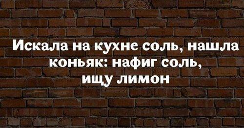 Подробнее о статье Супер смешные цитаты со смыслом