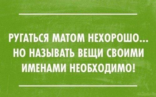 Подробнее о статье Супер высказывания