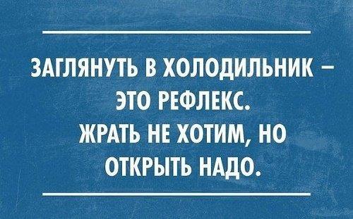 Подробнее о статье Угарные фразы и афоризмы