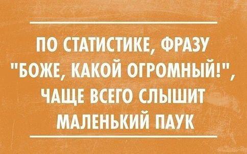 Подробнее о статье Угарные фразы и цитаты