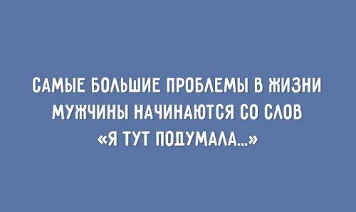 Подробнее о статье Веселые цитаты про жизнь