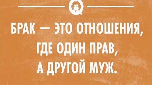 Подробнее о статье Веселые короткие фразы для поднятия настроения