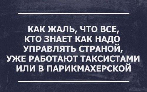 Подробнее о статье Забавные цитаты с юмором