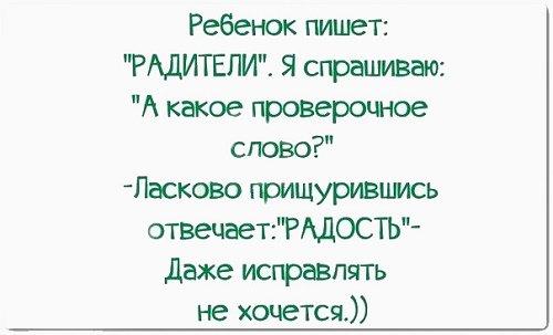 Подробнее о статье Забавные короткие выражения