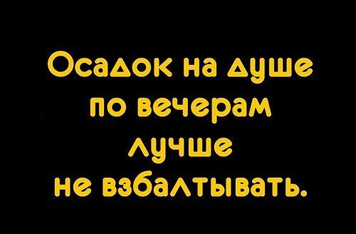 Подробнее о статье Клевые высказывания