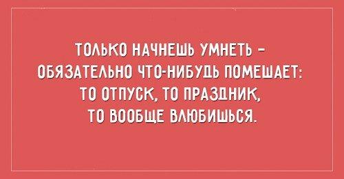 Подробнее о статье Остроумные прикольные цитаты