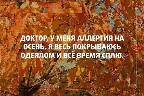 Подробнее о статье Прикольные статусы про осень