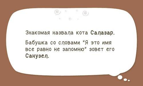 Подробнее о статье Смешные короткие случаи