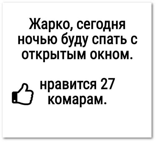 Подробнее о статье Читать прикольные и ржачные статусы