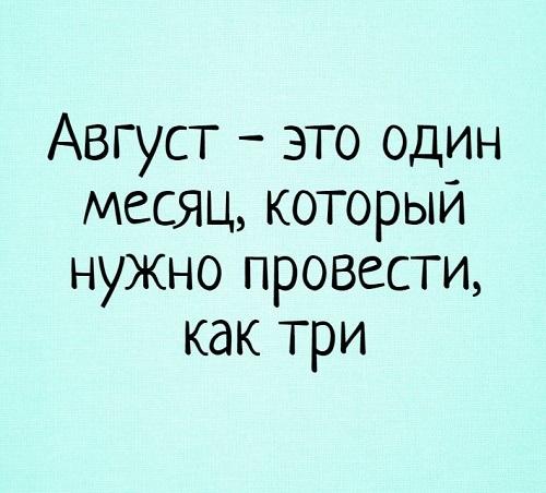 Подробнее о статье Читать смешные до слез статусы