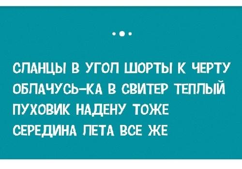 Подробнее о статье Читать смешные до слез стишки