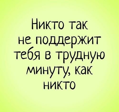 Подробнее о статье Читать смешные и ржачные статусы