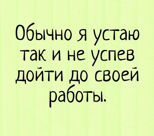 самые прикольные статусы