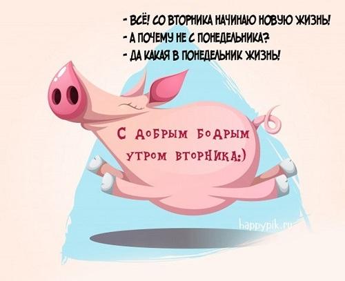 Подробнее о статье Анекдоты вторника 5 ноября 2019 года