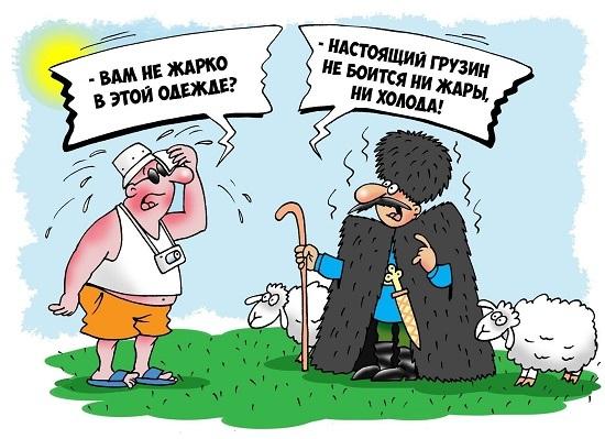 карикатура про гиви