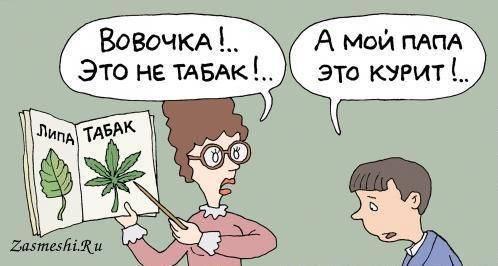 карикатура про вовочку