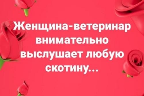 Подробнее о статье Статусы про ветеринаров