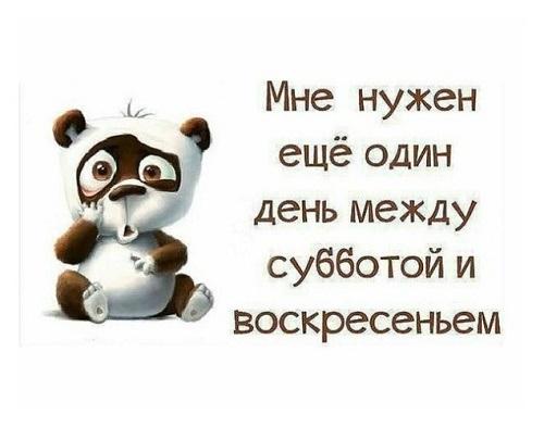 Подробнее о статье Воскресные анекдоты 17 ноября 2019 года