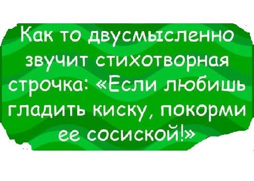 Подробнее о статье Прикольные двусмысленные стишки