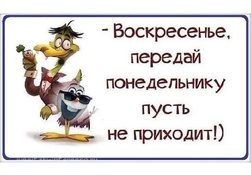 Подробнее о статье Воскресные анекдоты 1 декабря 2019 года