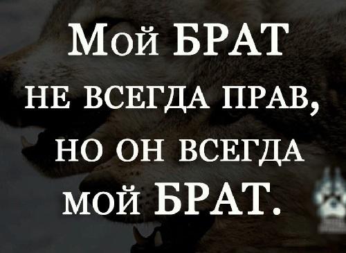 Подробнее о статье Мудрые статусы про брата