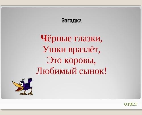 Подробнее о статье Смешные смс загадки