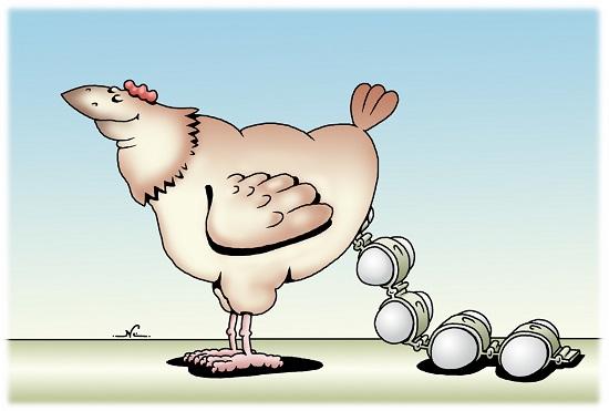 Подробнее о статье Анекдоты про яйцо и курицу