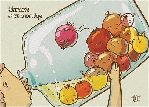 анекдот картинка про овощи и фрукты