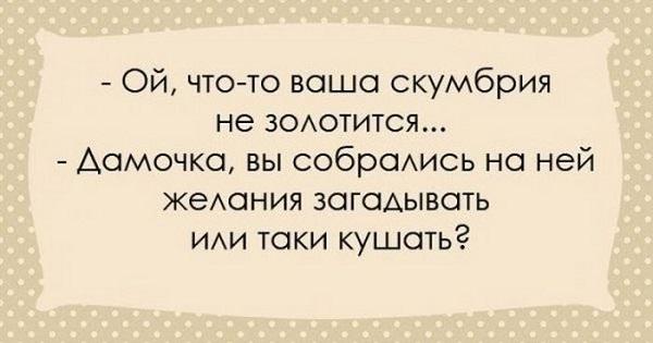 Подробнее о статье Самые смешные до слез еврейские анекдоты