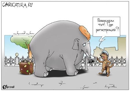 анекдот картинка про слона