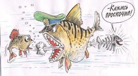 анекдот картинка про рыбу и раков