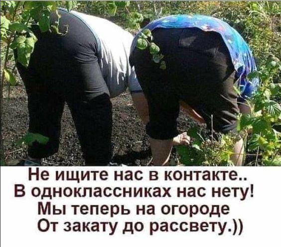 картинки с надписями