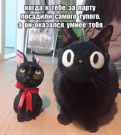 Мемы школа