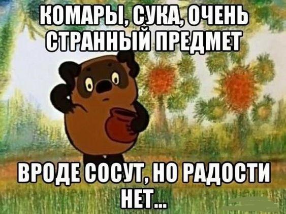 Мемы с Винни Пухом