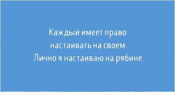 Подробнее о статье Смешные картинки с шутками