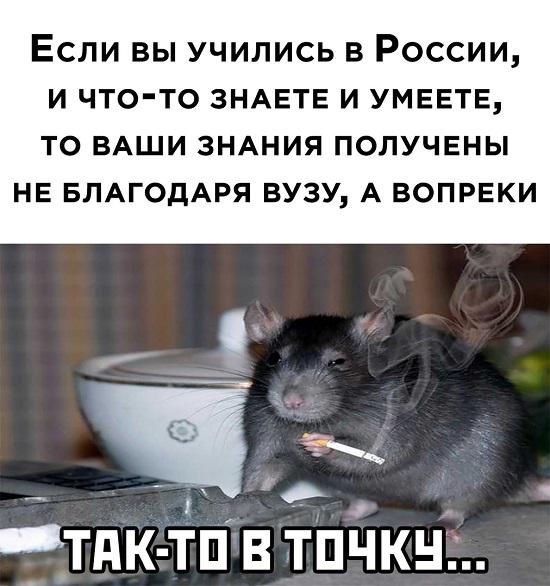 Смешные свежие мемы