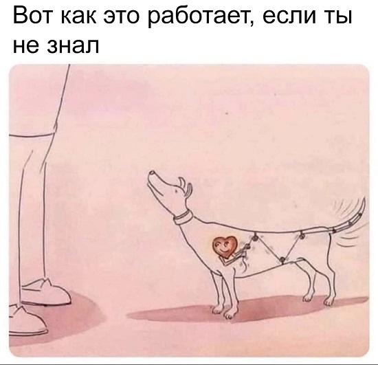 Смешные свежие мемы